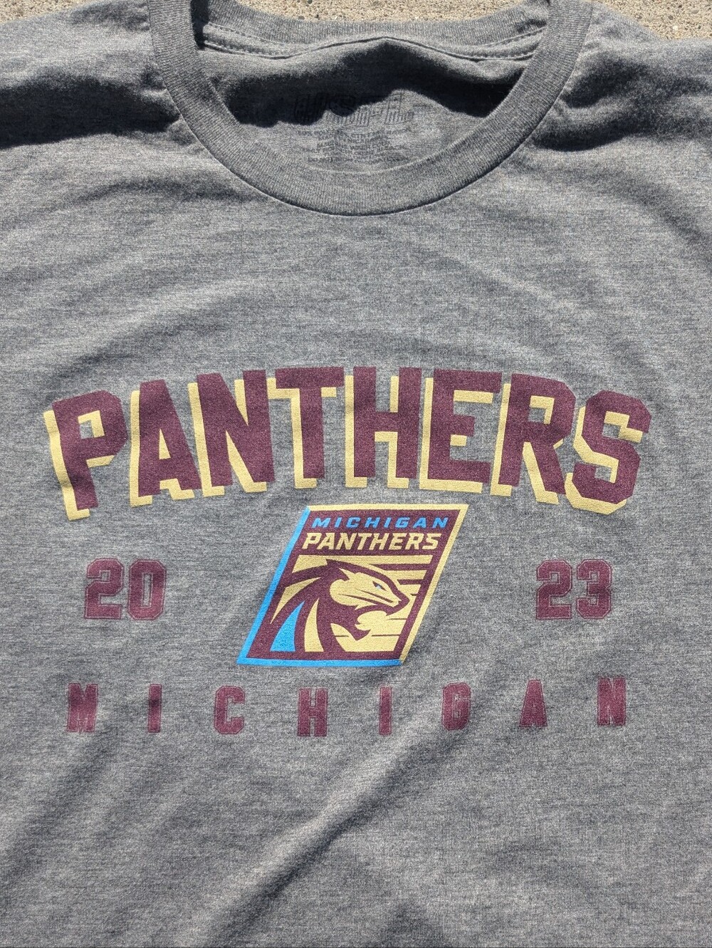 Michigan Panthers USFL Football Tee Size Large 2023